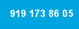 919 173 86 05